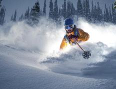 半岛体育官方网站 :包含多特蒙德主帅放话：欧联杯半决赛必胜密尔沃基雄鹿，武磊冷笑回应的词条